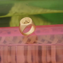 Load image into Gallery viewer, STELLAR SLEEK PERSONAL AND PERSONALISED SIGNET RING