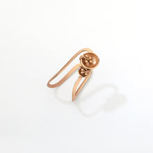 Load image into Gallery viewer, Canopy ring