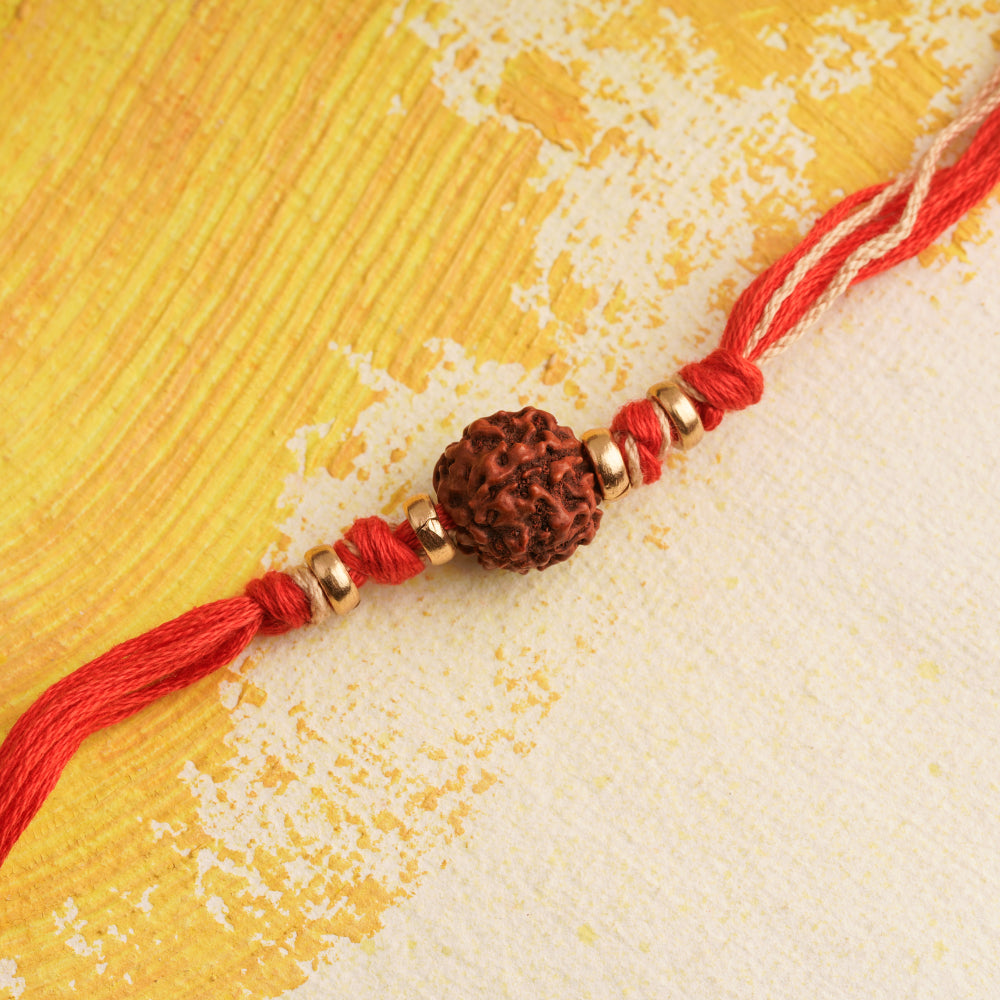 Rudraksha Rakhi with Gold Beads & Red thread