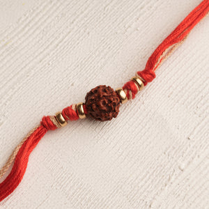 Rudraksha Rakhi with Gold Beads & Red thread